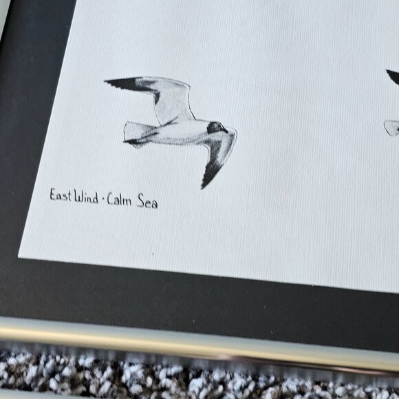 Gaylord Stevens Nautical Pen & Ink Prints Framed Art Seagull Ship Set 1975 1976 - Picture 7 of 9